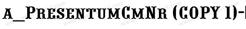 a_PresentumCmNr (COPY 1)字体转换